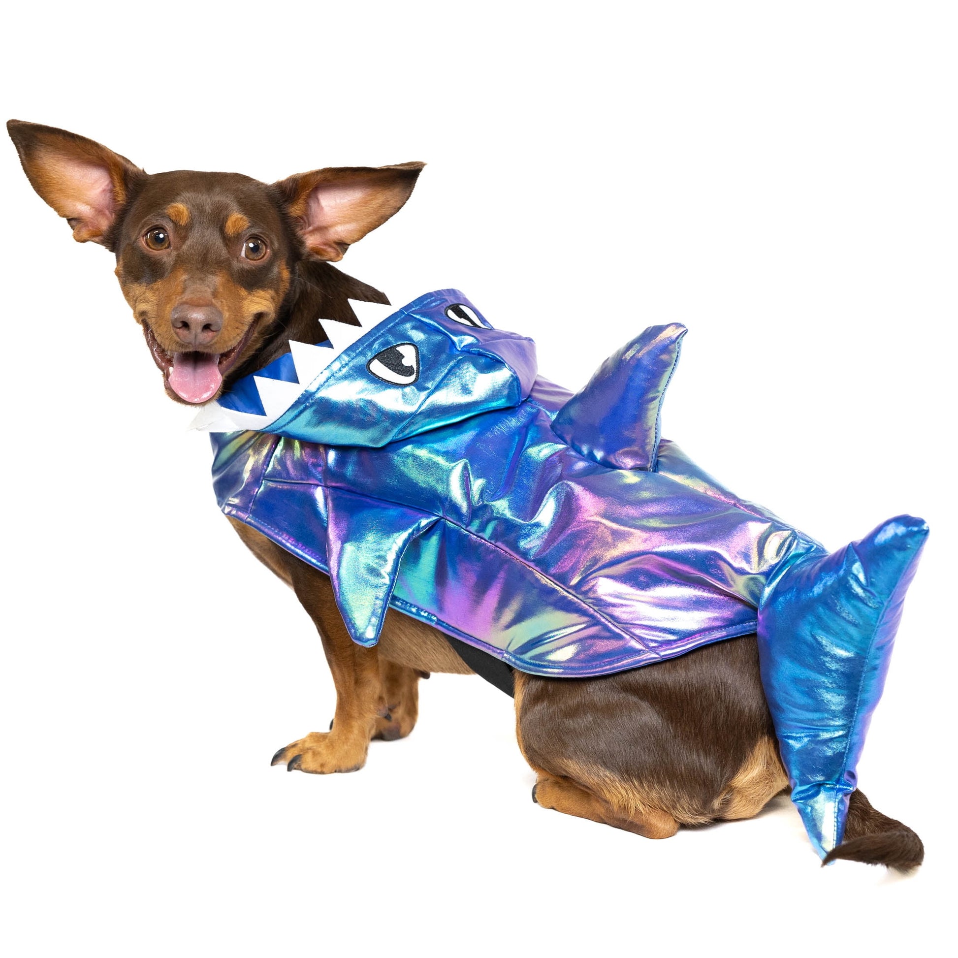 Halloween Dog Costume and Cat Costume: Shark, Size Medium